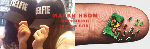 гидра Зуевка
