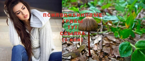 прущая мука Алзамай