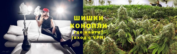 сатива Алексин