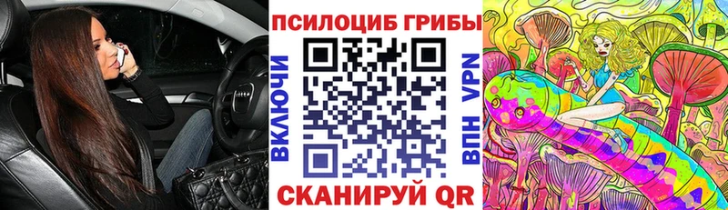что такое   Красноуральск  Псилоцибиновые грибы Cubensis 